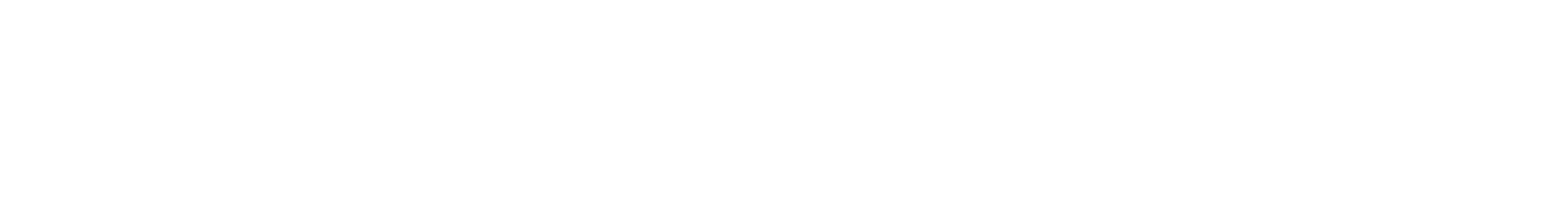 iit_cnr_logo